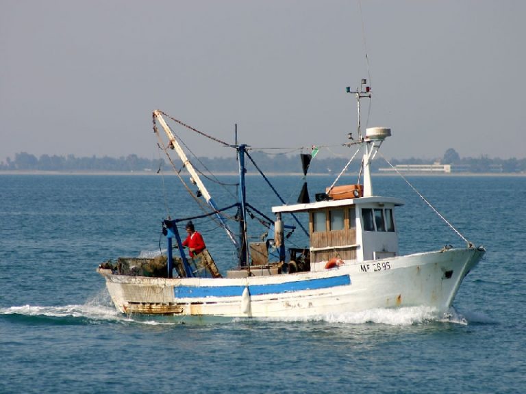 Firmato decreto fermo pesca, più tutela per risorse dei nostri mari