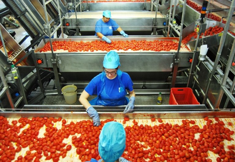 Pomodoro da industria del Nord Italia. Nasce Italtom, risultato importante per la filiera