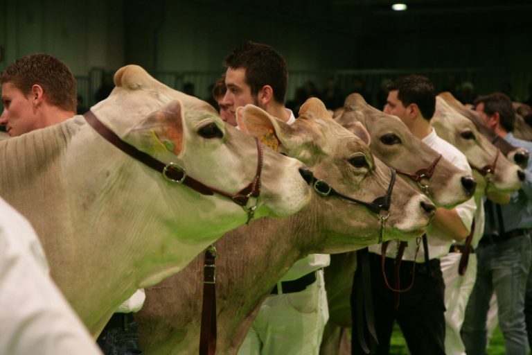 A Fieragricola forum sulla sostenibilità