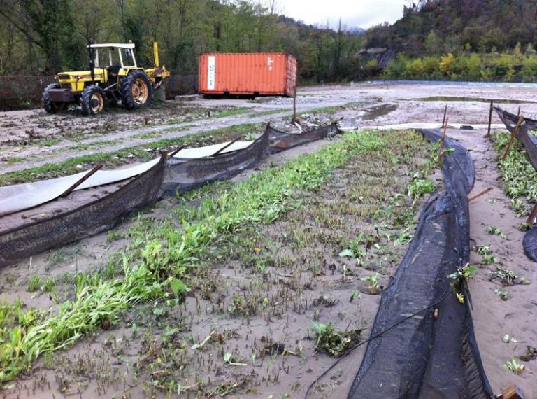 Agricoltura sott’acqua. Frane, smottamenti e aziende isolate