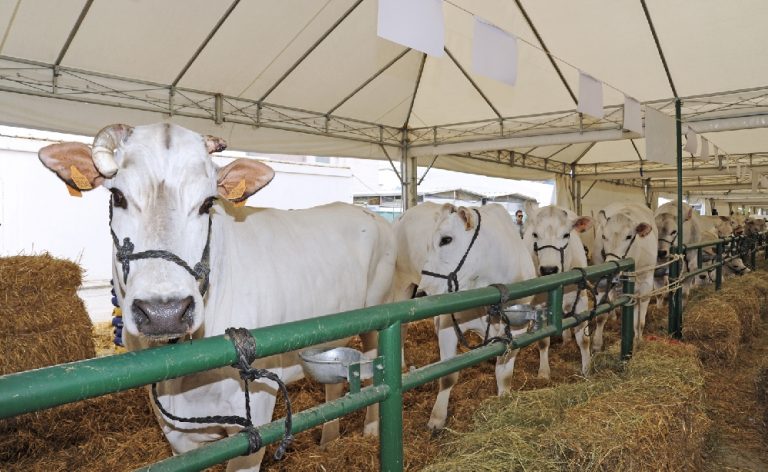 Agriumbria 2017 si presenta. Focus sugli sprechi alimentari