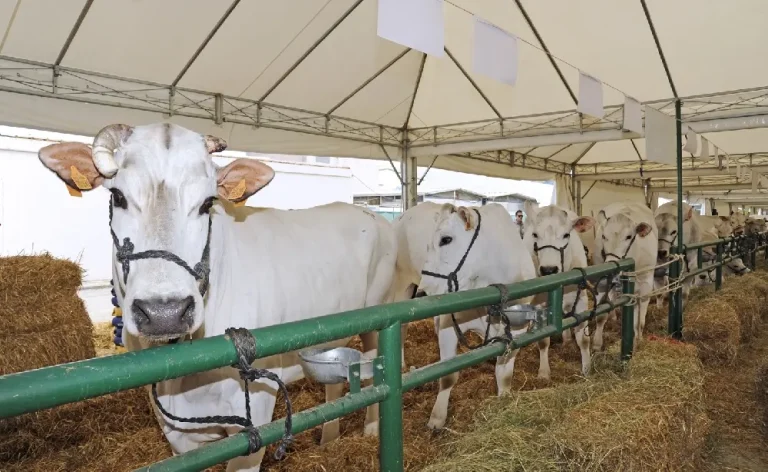 Agriumbria: l’agricoltura si dà appuntamento dal 28 al 30 marzo a Umbriafiere