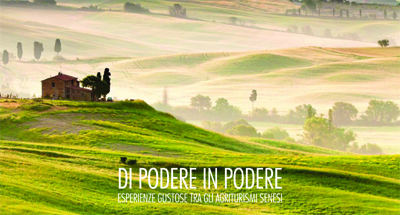 Al via Di Podere in Podere: un weekend negli agriturismi senesi per vivere esperienze gustose