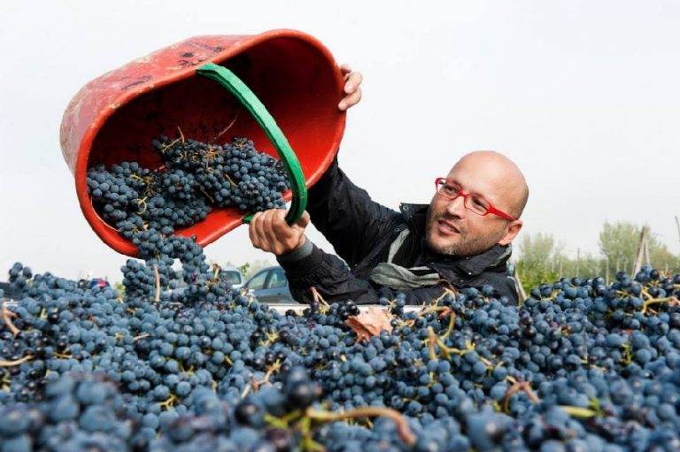 Vino, il lavoro è qui. 1,3 mln di persone impiegate. Classifica per Docg e Doc