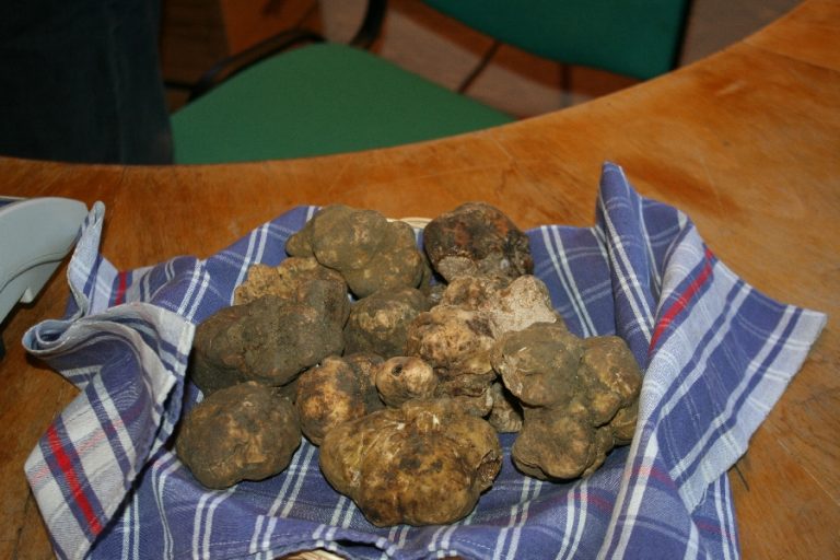 Novembre al sapor di tartufo a San Giovanni d’Asso