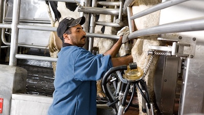 A Fieragricola la giostra robotizzata di Delaval in anteprima