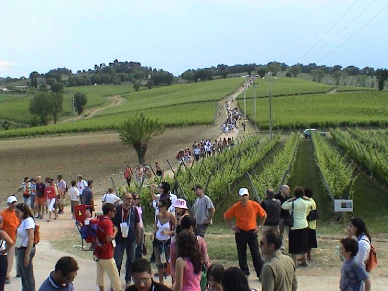 Ipotesi riaperture. Confagricoltura: fondamentale una graduale ripresa attività nella massima sicurezza