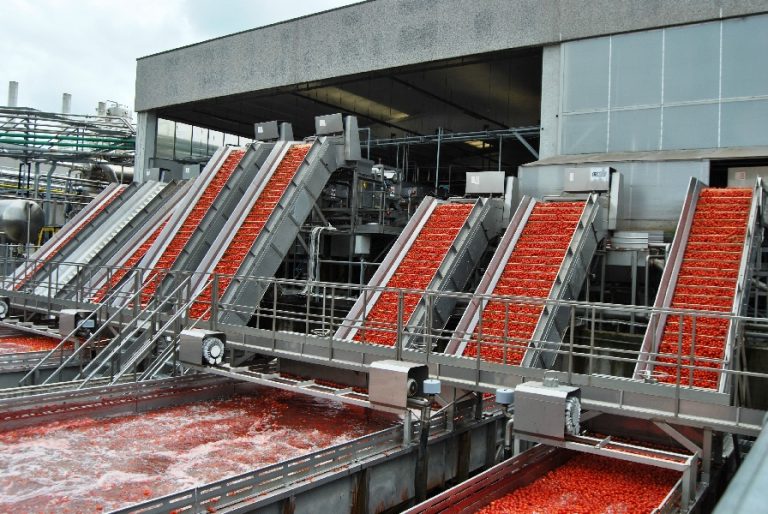 Italia terzo produttore di pomodoro fresco destinato alle conserve. Fatturato a 3.5 miliardi di euro