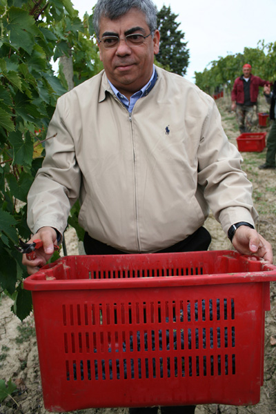 Vino senese “Vigna della pace” all’asta contro la guerra nel Caucaso