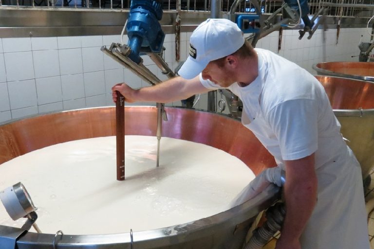 Nasce la Scuola del Casaro del Crea. In Basilicata con il Consorzio del Parmigiano Reggiano