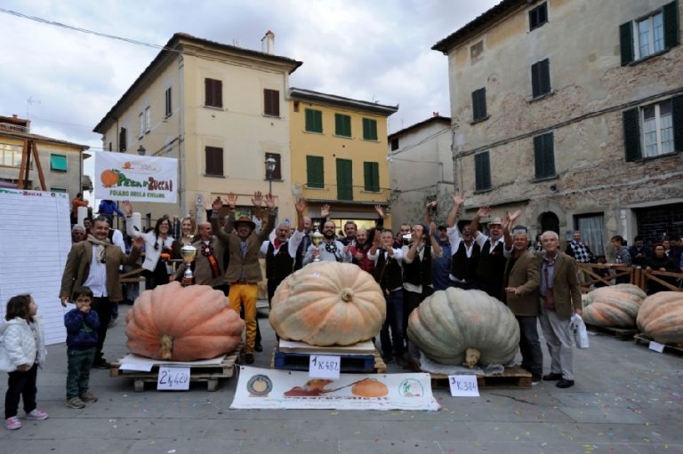 Una zucca da record. Pesa 482 Kg e viene da Messina