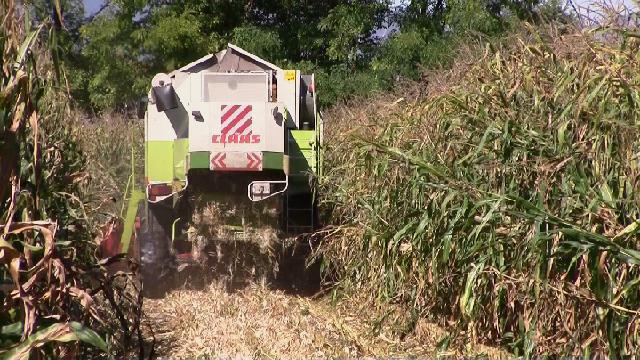 Decreto dignità. L’allarme di FederUnacoma: danneggia la meccanica agricola specializzata