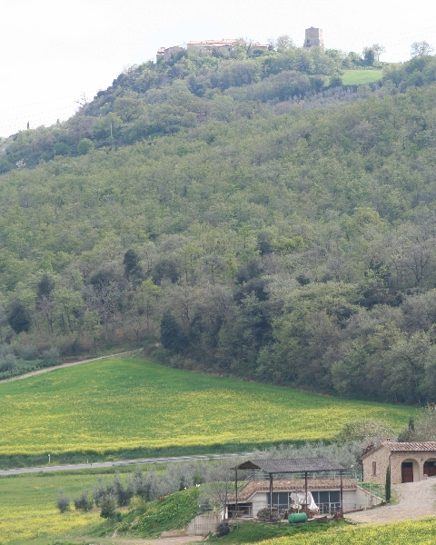 Carbon free, è Siena la provincia più verde d’Europa. Riconoscimento Ue