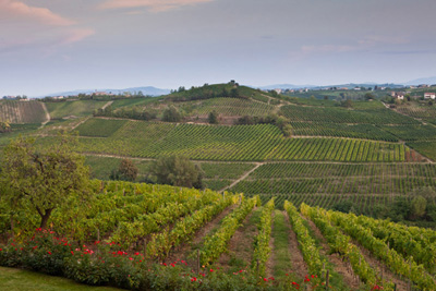 Vini piacentini in mostra al Valtidone Wine Fest