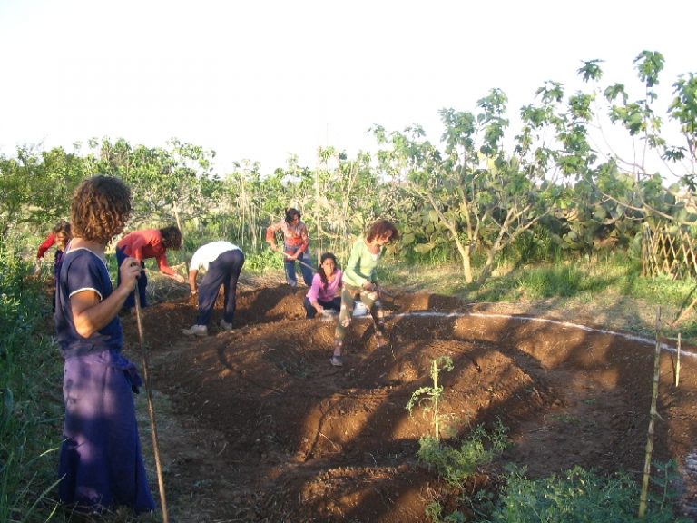 Sempre più giovani in agricoltura ma aziende Under 35 diminuiscono