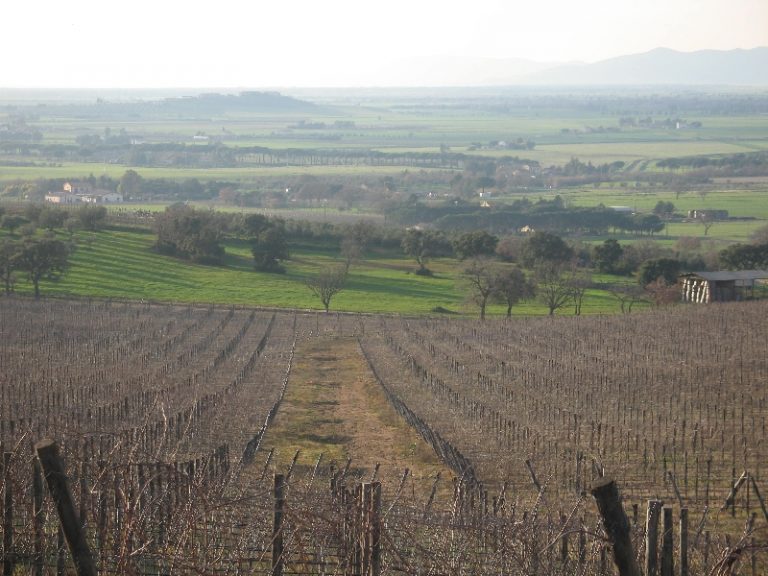 Alberese promuove la Maremma da gustare