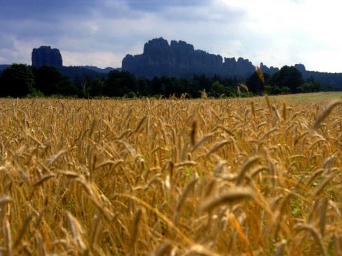 Aree agricole, dal Governo un Ddl anticementificazione