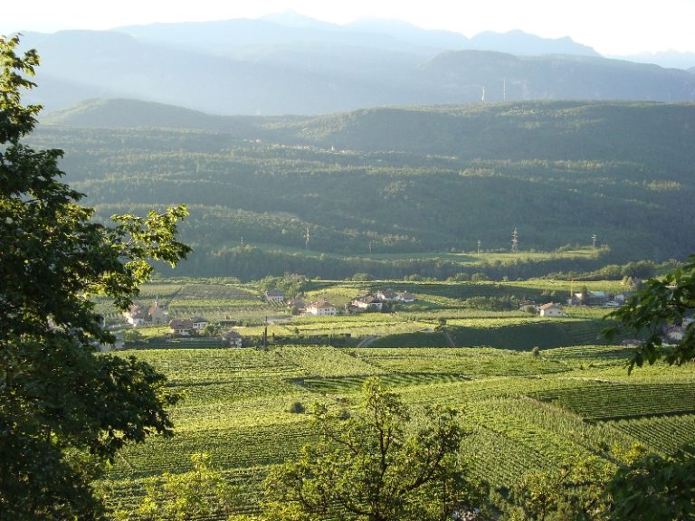 A Caldaro in Alto Adige, Una Passeggiata tra Atmosfera e Gusto