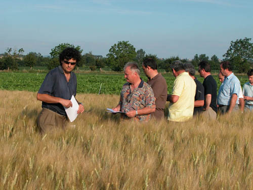 Consorzio Agrario di Siena