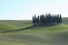 Il valore del paesaggio. Senza cipressi non è Toscana, lo dice un’indagine