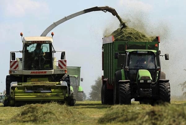 Confeuro: rapporto Greenpeace, misure per tutelare salute agricoltori