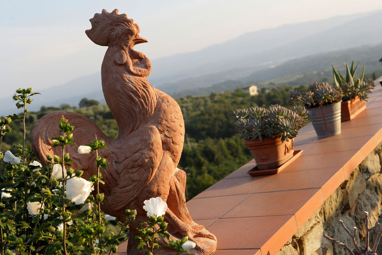 Sapori di bosco e olio nuovo in Valdarno