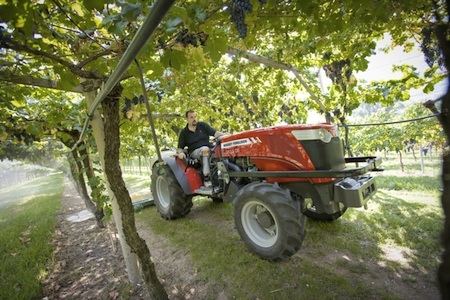 Enovitis protagonista a Fieragricola 2016