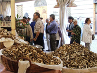 Borgotaro, un intero borgo in festa col porcino