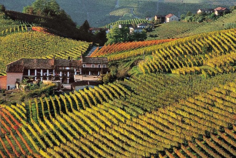 Weekend nelle Langhe, terre di vino dai colori d’autunno