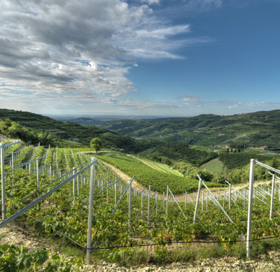 Zonazione dei vigneti in Valpolicella per l’azienda Tedeschi