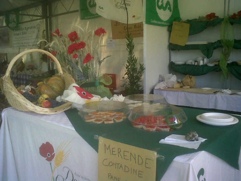 Ma quali merendine confezionate. Fra i bambini vince ancora il pane e prosciutto