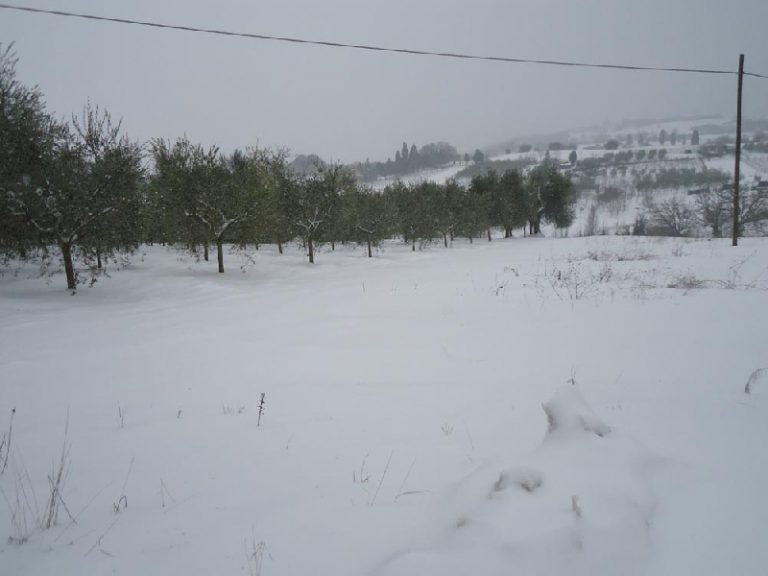 Emergenza neve, all’opera contoterzisti Unima