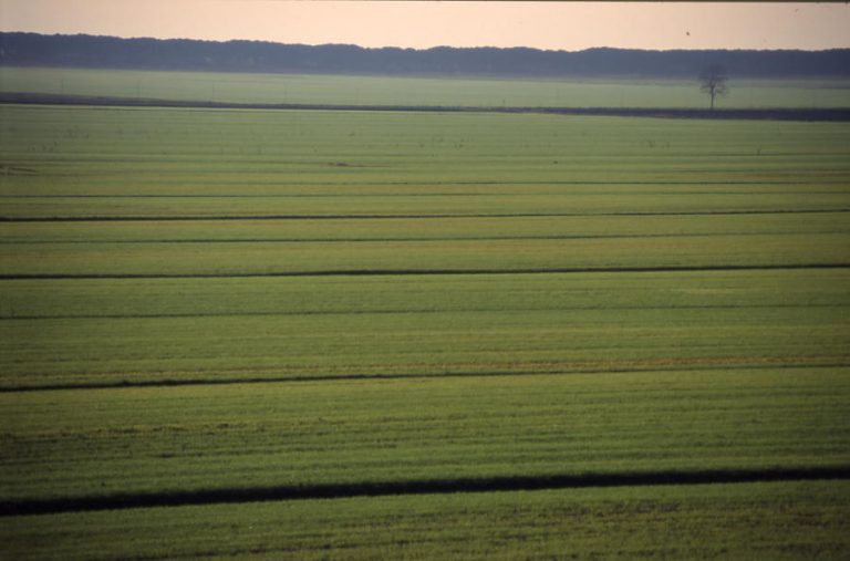 Veneto, un consiglio regionale straordinario per parlare di agricoltura