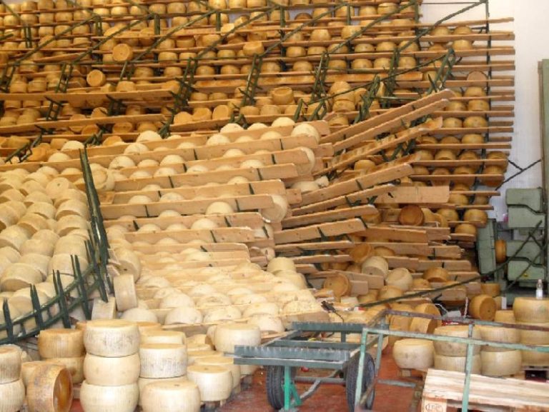 Parmigiano Reggiano, il sisma in Emilia crea danni per oltre 150mln