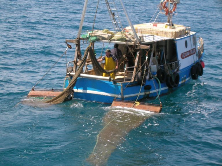 Grosseto, 1 milione a sostegno della pesca marittima