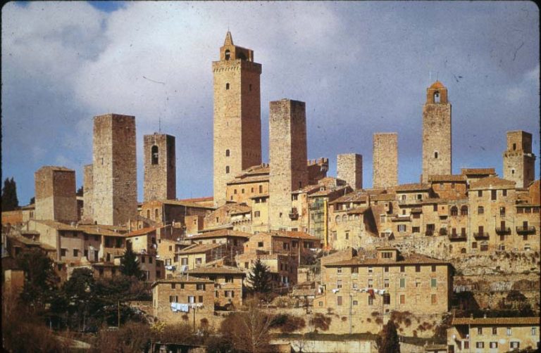 Terranostra Day, cinque “agri-tour” alla scoperta del senese