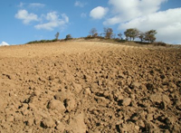 Verso Terra Madre, uno strategico punto di collegamento