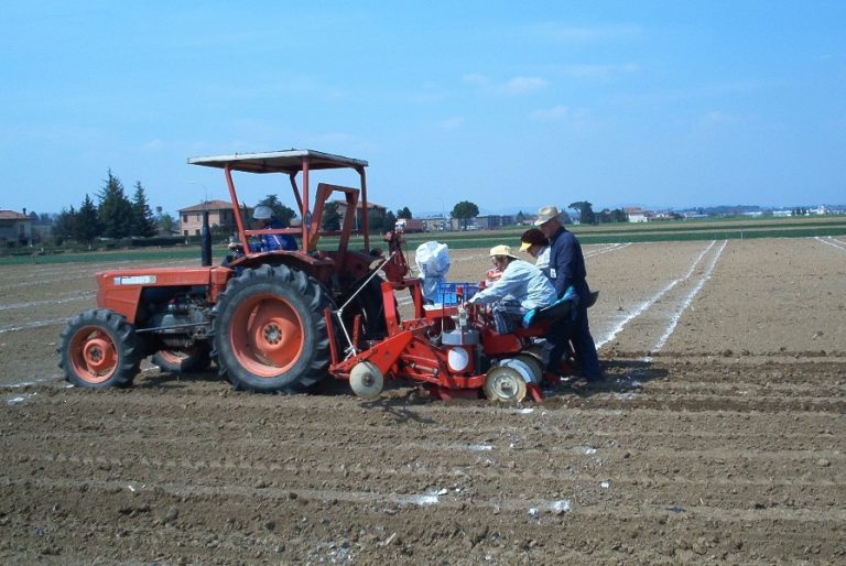 L’agricoltura toscana pensa positivo con la “cura” Martini