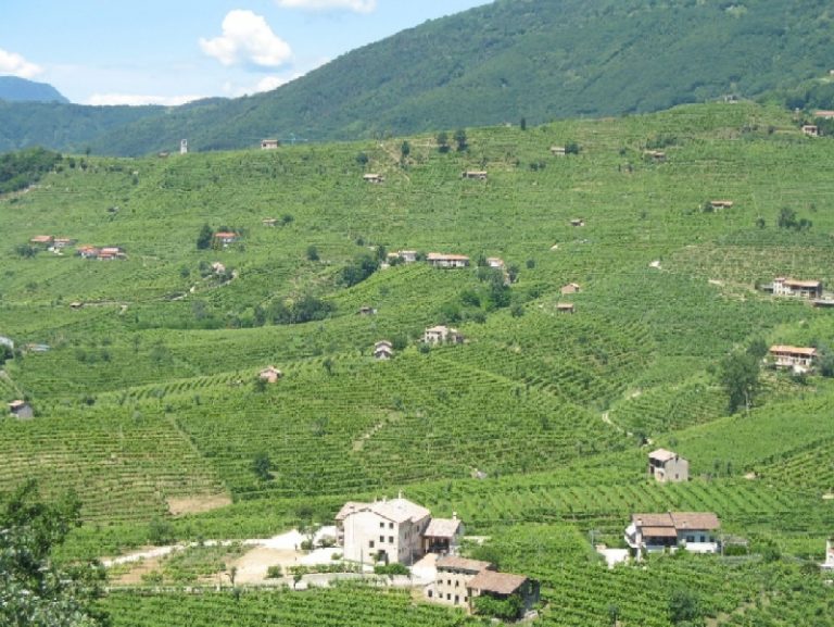 Veneto, commissione per degustazioni vini a denominazione