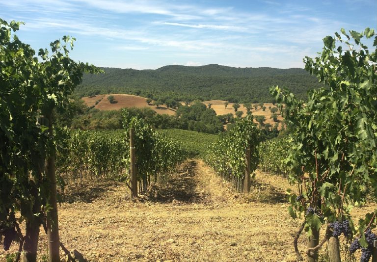 Grosseto, un tavolo di lavoro per il futuro dell’Azienda di Alberese