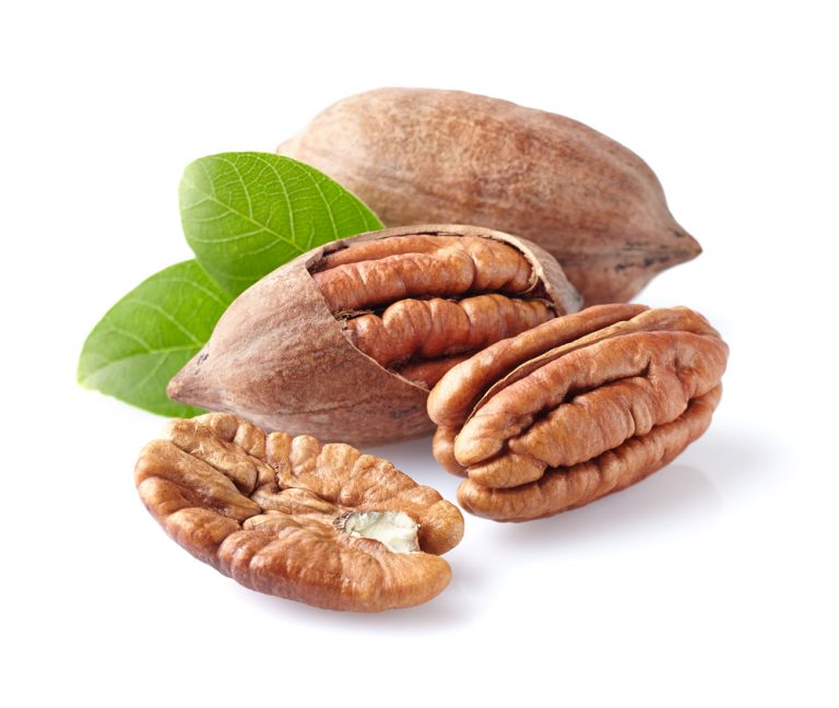 Noci Pecan. Progetto tedesco per sviluppare mercato europeo