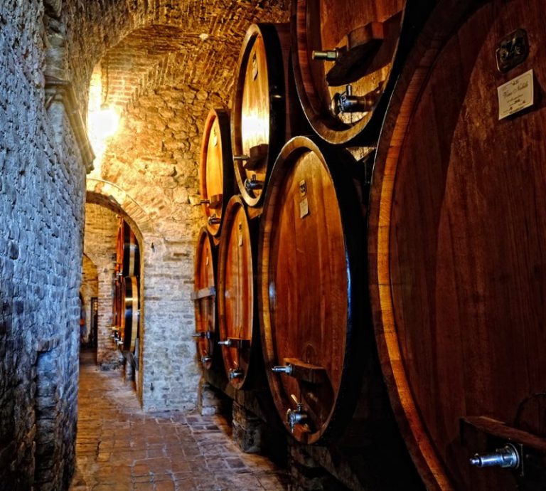 Lavori in cantina dopo la vendemmia. Ed il Caporalato è legge