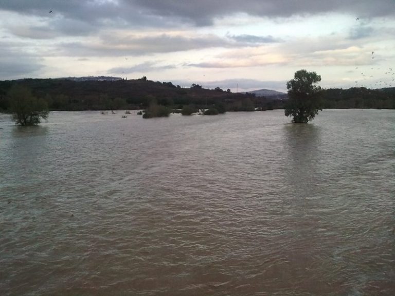 Maltempo e danni alla colture in primo piano. E le novità della bonifica nel sud Toscana