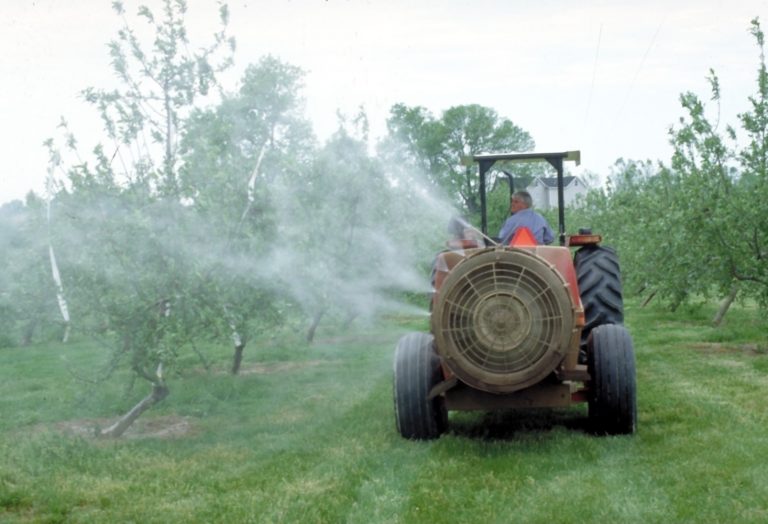 Direttiva fitofarmaci. Cia, stop a regolamento su fitofarmaci evita disastro. Ascoltare agricoltori