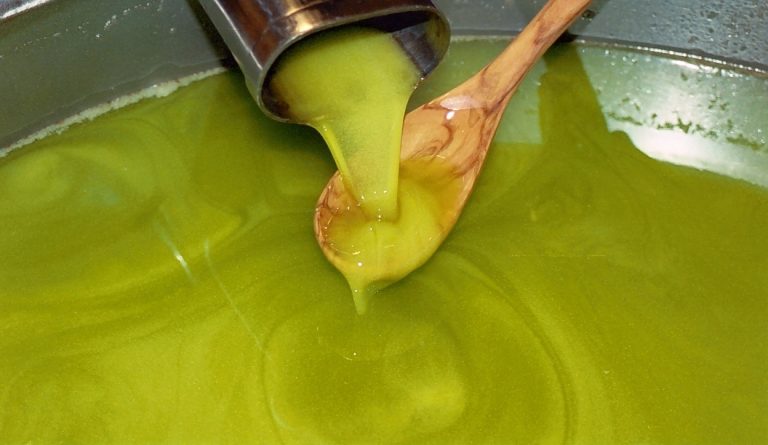 Caccia al miglior olio extravergine di Toscana. La Regione lancia la selezione 2019. Termine iscrizioni il 31 gennaio