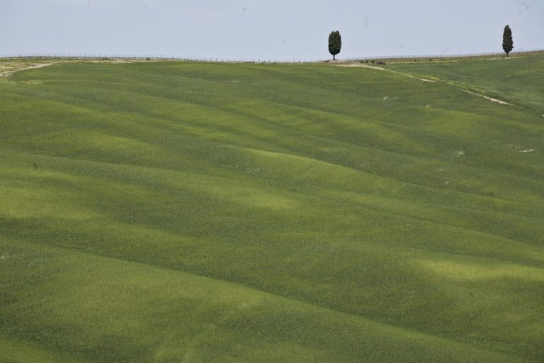 La Regione Toscana fa il bilancio del Programma di sviluppo rurale. Lunedì 26 novembre, conferenza stampa