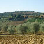 campagna_toscana