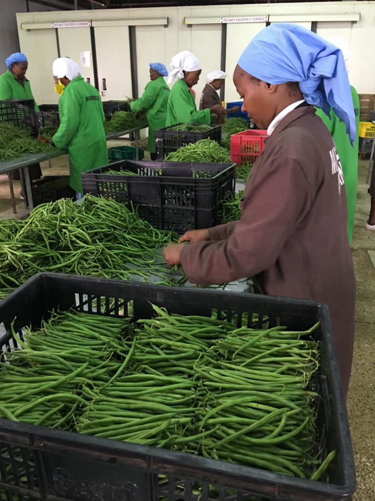 Macfrut si presenta in Kenya. Nel 2017 ampia la partecipazione delle aziende