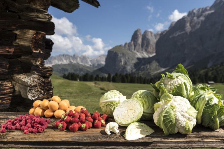 Piccoli frutti e verdura in Alto Adige. Anno difficile per le ciliegie. Cavolfiore in crescita