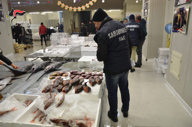 Controlli di Ferragosto. Sequestrate 2 tonnellate di pesce a Napoli e Ascoli Piceno